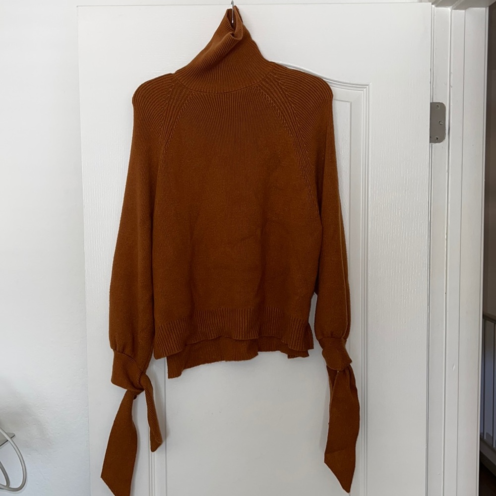 Zara Brown Turtleneck Sweater
